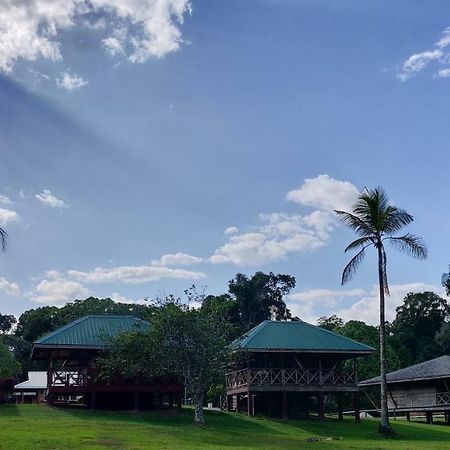 Iwokrama River Lodge Makari Kültér fotó