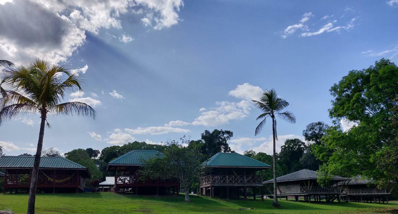 Iwokrama River Lodge Makari Kültér fotó